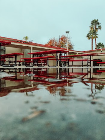 Low Angle Photo of Red Picnic Tables