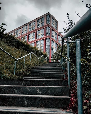 Low-Angle Photo of Staircase