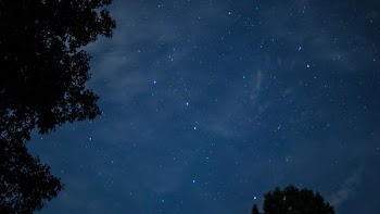 low-angle photo of starry night