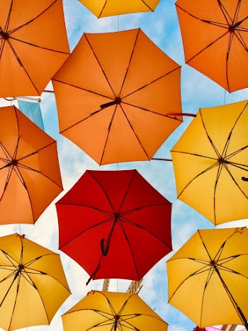 Low-Angle Photo of Umbrellas