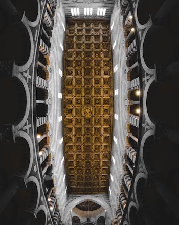 low-angle photo of white and brown ceiling