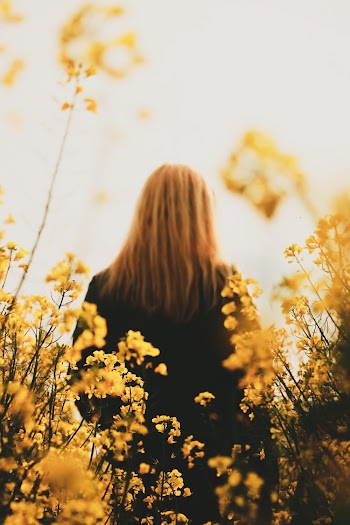 Low Angle Photo of Woman Standing Near Yellow Flowers