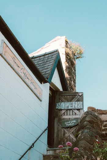 Low-Angle Photo of Wooden Opened Door