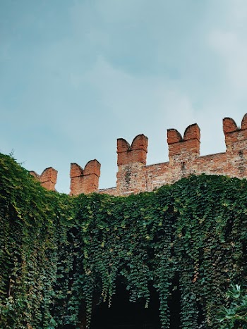 Low Angle Photography of a Wall