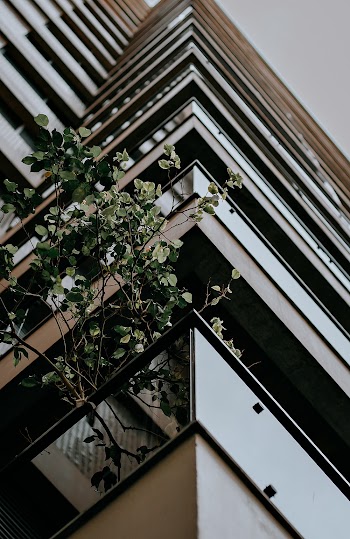 Low Angle Photography of Building