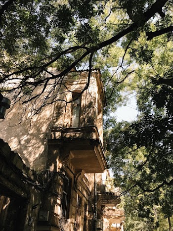 Low Angle Photography of Building Structure Near Trees