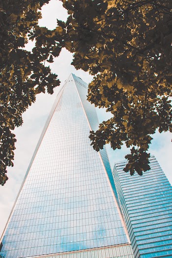 Low Angle Photography of Glass Building