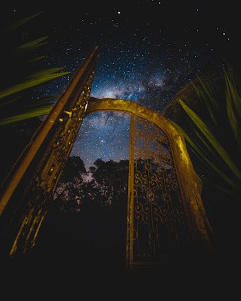 Low Angle Photography of Golden Gate During Evening