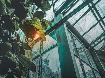 Low Angle Photography of Greenhouse