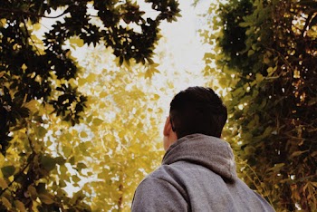 Low Angle Photography of Man Standing Under Green Trees