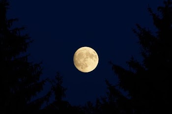 low-angle photography of moon