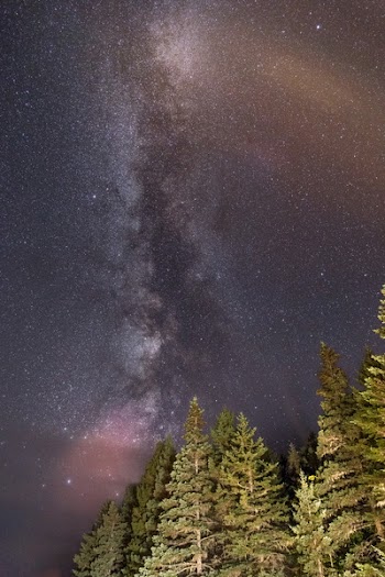 Low-angle Photography of Night Sky