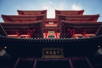 low angle photography of Pagoda temple