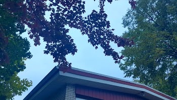 Low-angle Photography of Red and White Concrete House Surrounded of Trees Under White Skies