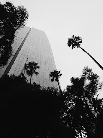 Low-angle Photography of White Building