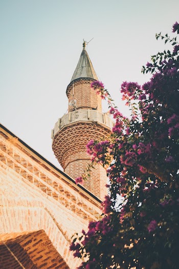 low angle shot oa minaret