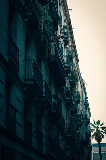 Low Angle Shot of Building