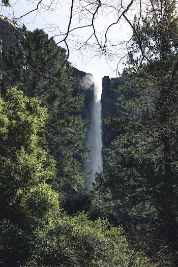 Low Angle Shot of Waterfall Beside Green Trees