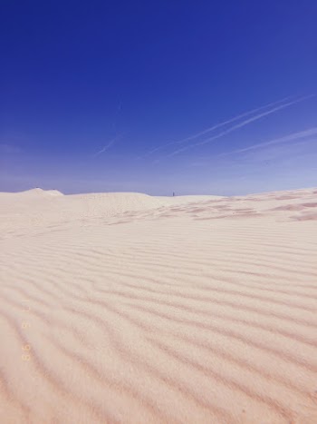 Low Angle Shot Of White Desert Sands Under Clear Blue Skies