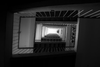 Low Angle Shot Photo of Stairs
