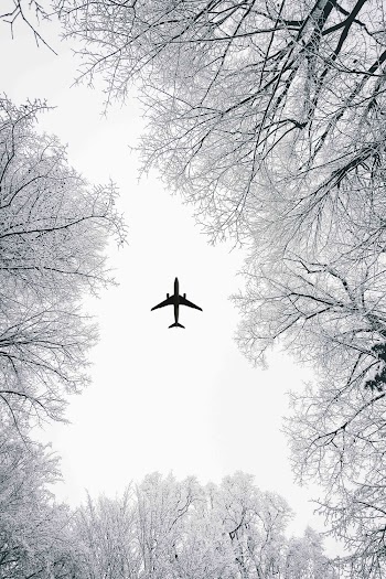 Low Angle View of Airliner during Winter
