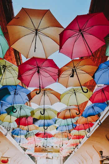 Low Angle View Of Assorted Coloured Umbrellas