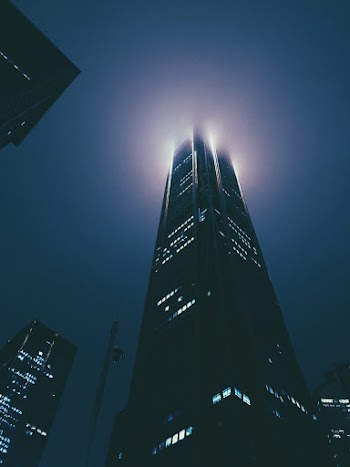 Low Angle View of During Evening