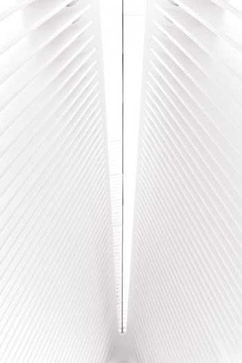 low angle view of roof