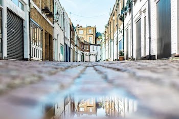 low angle view photography of brown pathway between hoses