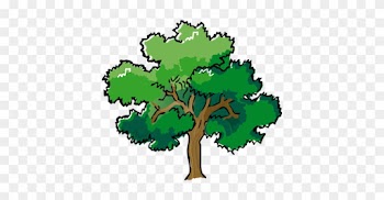 Low Cost Street And Yard Trees - Oak Tree Clipart