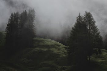 Low-light Photo of Mountain With Pine Trees Covered With Fogs