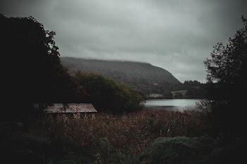 Low Light Photography of Lake