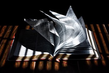 low-light photography of open book