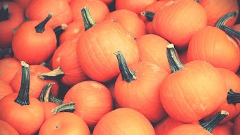 low light photography of pumpkin lot