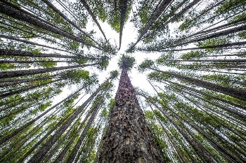 Lower Seymour Campground on Wisdom | Free Photo - rawpixel