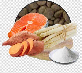 Lox Dog Food Smoked salmon Cat Food, Dog transparent background PNG clipart