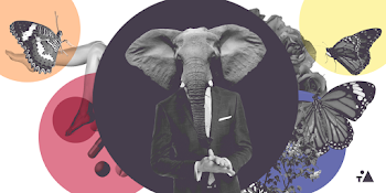 LSD Might Save The World (But Microdosing Won't) – TOA.life