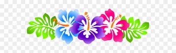 Luau Clip Art Borders Free Hibiscus Line - Hibiscus Flower Banner Png
