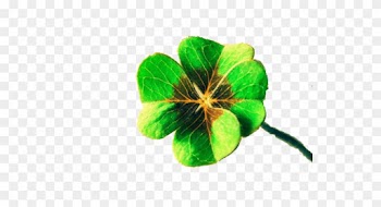 Luck Four-leaf Clover Display Resolution Wallpaper - Jiuduidodo Custom Lucky 4-leaf Clover Water Resistant