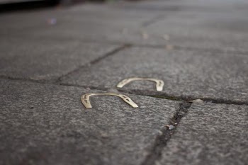          Lucky Path Free Photo     