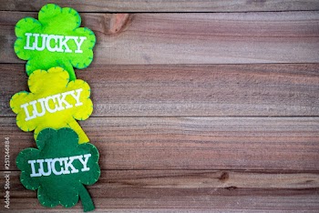 Lucky shamrocks, concept for St Patricks Day in March. Flatlay on wood background