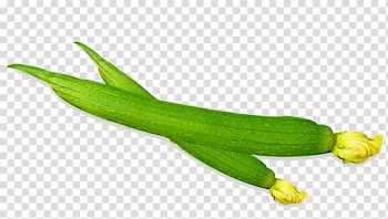 Luffa Vegetable Food Cooking Eating, Hand-painted vegetable food,Loofah transparent background PNG clipart