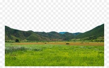 Lugu Lake Caohai Lake Yanyuan County Fukei Landscape - Lugu Lake Caohai Landscape five 