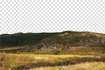 Lugu lake reeds transparent background PNG clipart