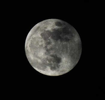 luna llena.jpg