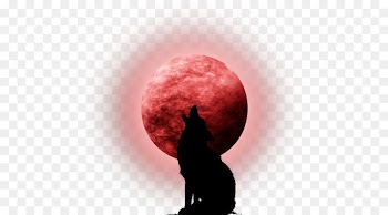Lunar eclipse Supermoon Clip art Solar eclipse - moon 