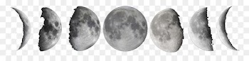 Lunar phase New moon Full moon - Moon PNG Free Download 