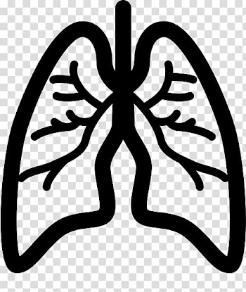 Lung cancer Eddie Kaspbrak Respiratory disease Mesothelioma, others transparent background PNG clipart