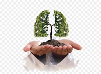 Lung cancer Smoking Symptom - Creative lungs 