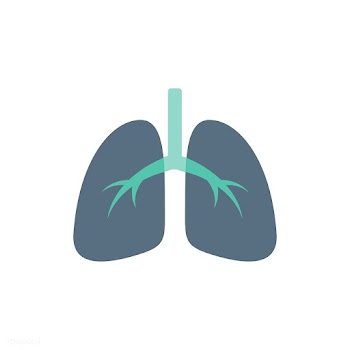 Lung care clinic | Free stock vector - 396984
